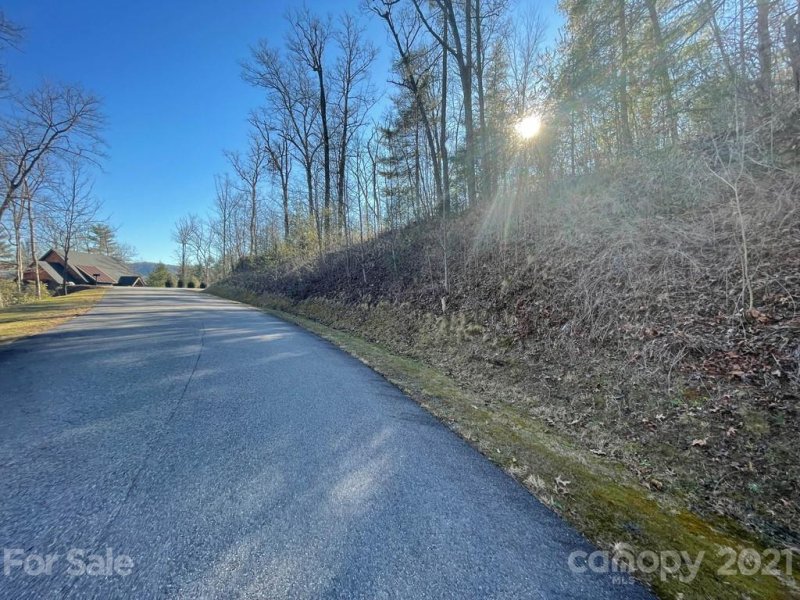 Property image 4 at Tbd Mountain Home Trail, Brevard, NC 28712
