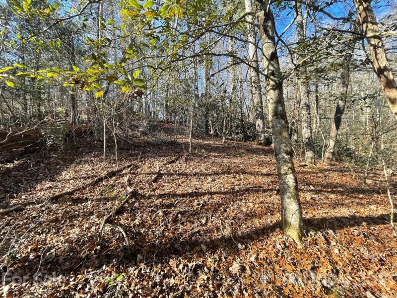 Property image 5 at Tbd Mountain Home Trail, Brevard, NC 28712