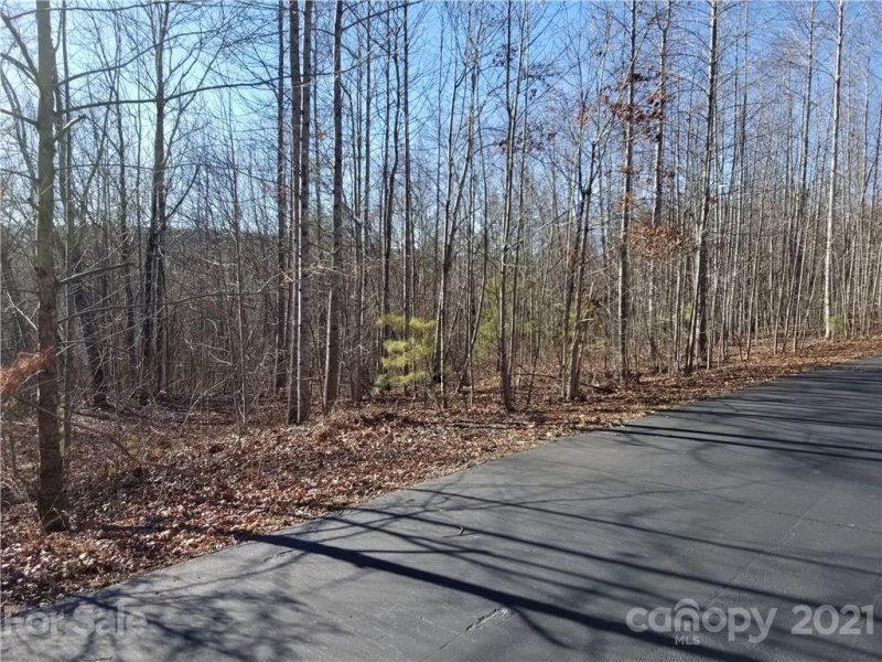 Property image 4 at Lot 27 S Cross Creek Trail, Mill Spring, NC 28756