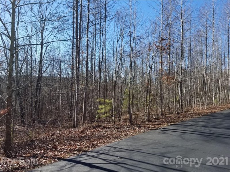 Property image 5 at Lot 27 S Cross Creek Trail, Mill Spring, NC 28756