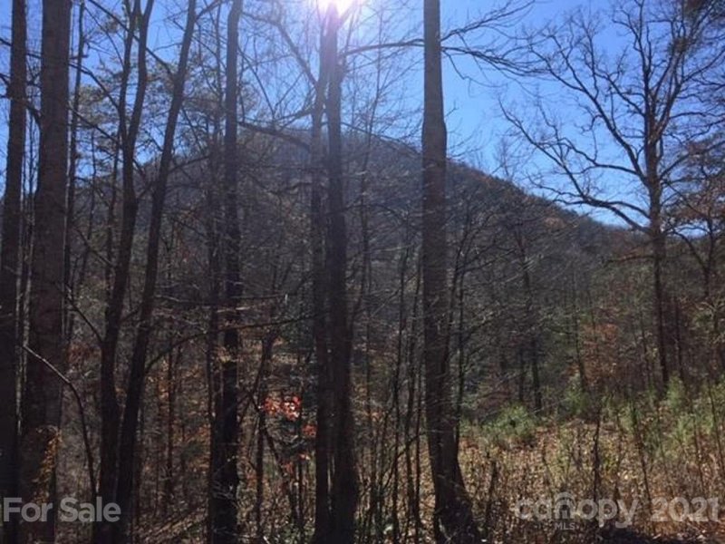 Property image 5 at 1684 Cedar Creek Farm Road, Tuckasegee, NC 28783