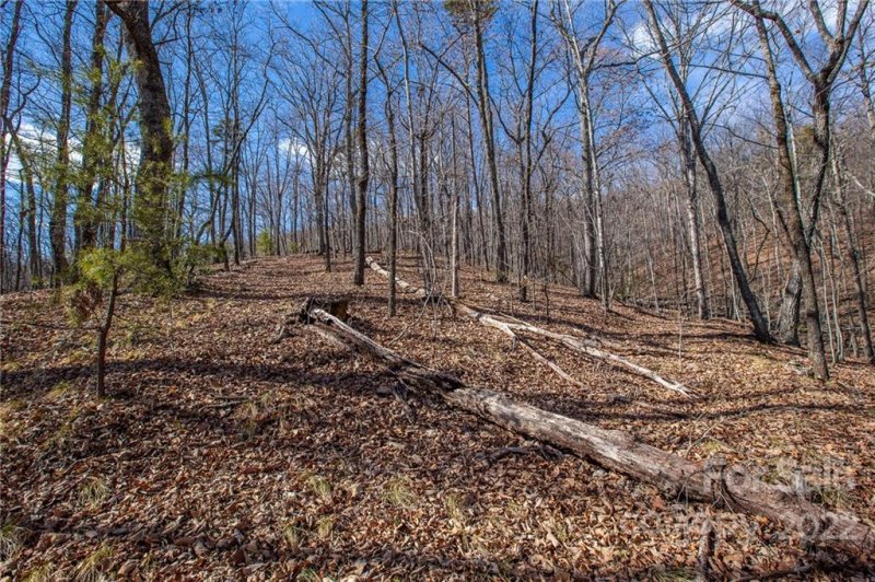 Property image 2 at 0 Squirrel Hill Road, Union Mills, NC 28167