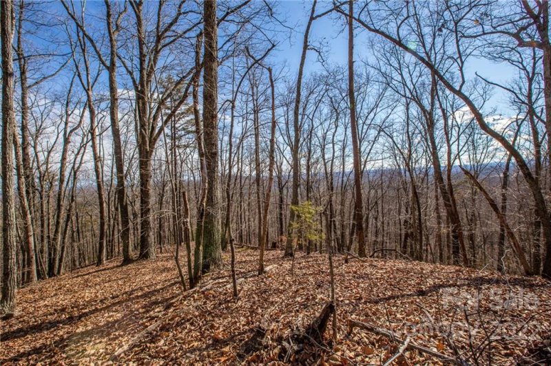 Property image 3 at 0 Squirrel Hill Road, Union Mills, NC 28167