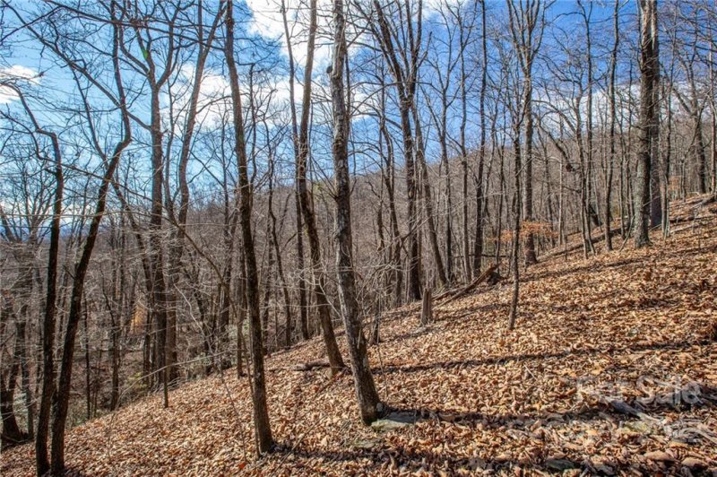 Property image 5 at 0 Squirrel Hill Road, Union Mills, NC 28167