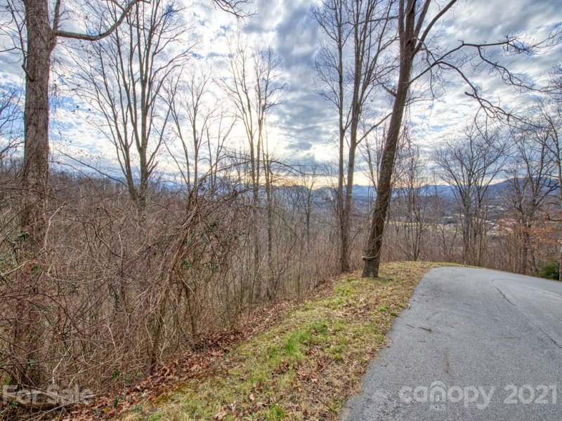 Property image 3 at Lot 5 Blake Drive, Canton, NC 28716