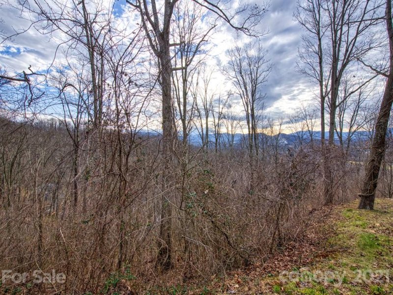 Property image 4 at Lot 5 Blake Drive, Canton, NC 28716