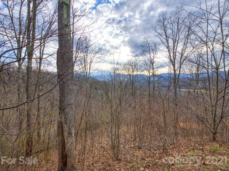 Property image 5 at Lot 5 Blake Drive, Canton, NC 28716