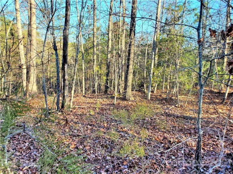 Property image 5 at 0 Rock Ridge Road, Mill Spring, NC 28756