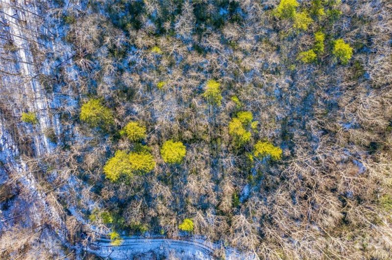 Property image 4 at 00 Ridgecrest Drive, Lake Lure, NC 28746