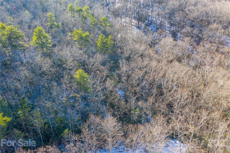 Property image 5 at 00 Ridgecrest Drive, Lake Lure, NC 28746