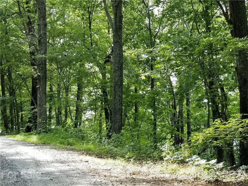 Property image 4 at 0 Ridgecrest Drive, Lake Lure, NC 28746