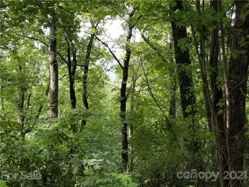 Property image 5 at 0 Ridgecrest Drive, Lake Lure, NC 28746