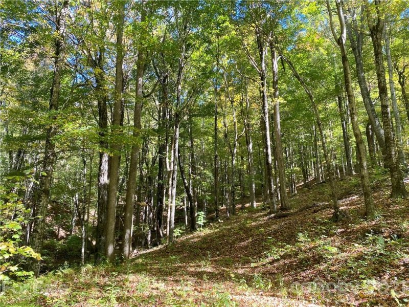 Property image 4 at 50 Bens Bend, Bakersville, NC 28705