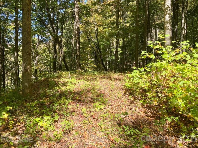 Property image 5 at 50 Bens Bend, Bakersville, NC 28705