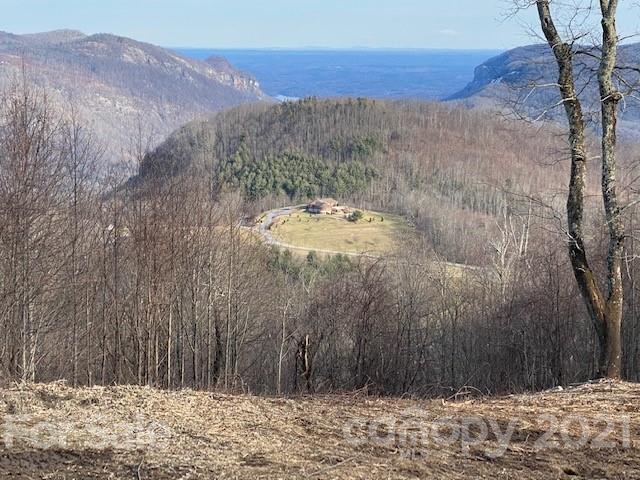 Property image 2 at 0000 Grand Oaks Drive, Hendersonville, NC 28792