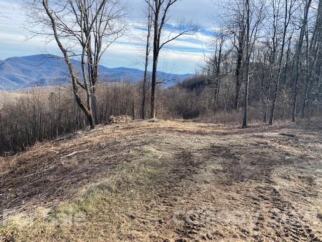 Property image 3 at 0000 Grand Oaks Drive, Hendersonville, NC 28792