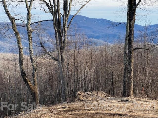 Property image 4 at 0000 Grand Oaks Drive, Hendersonville, NC 28792