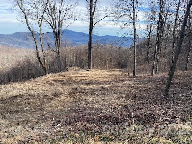 Property image 5 at 0000 Grand Oaks Drive, Hendersonville, NC 28792