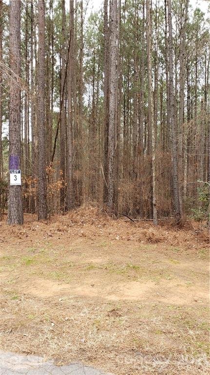 Property image 2 at 116 Frostcliff Lane, Mooresville, NC 28117