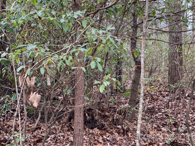 Property image 5 at Lot 615 616 Melrose Mountain Road, Tryon, NC 28782