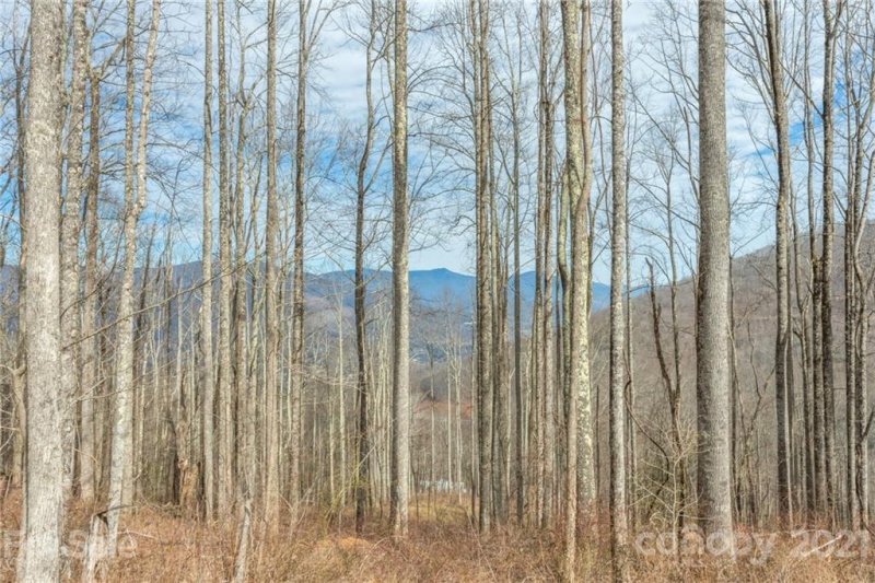 Property image 2 at 1353 Daydream Ridge, Swannanoa, NC 28778