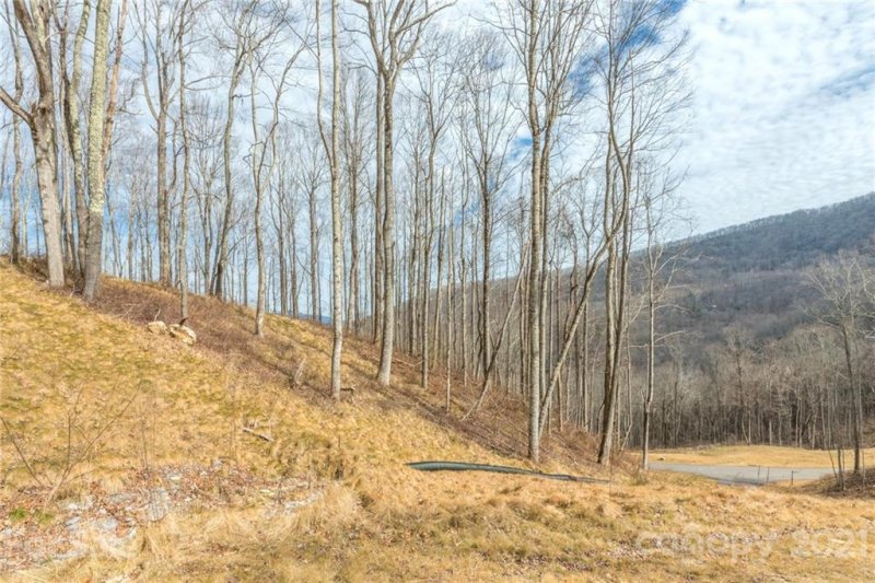 Property image 5 at 1353 Daydream Ridge, Swannanoa, NC 28778