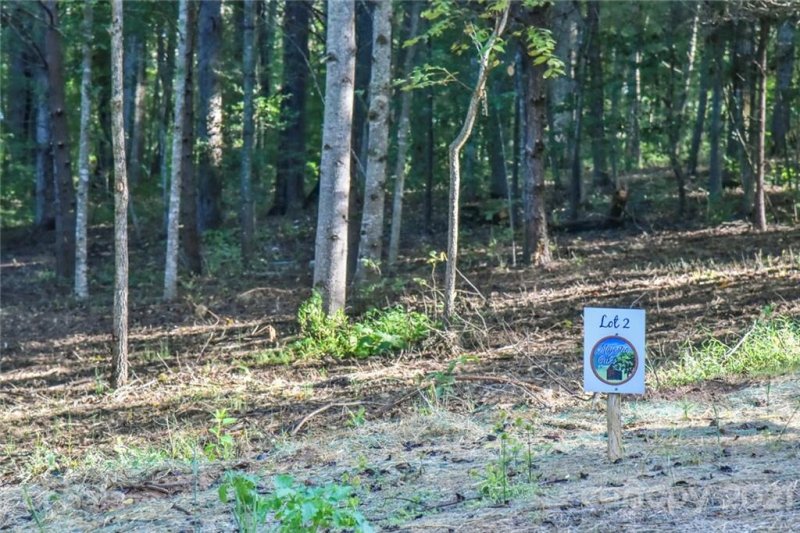 Property image 3 at 130 Clay Street, Fairview, NC 28730