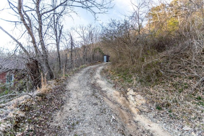 Property image 5 at 67 Mountainview Road, Asheville, NC 28806