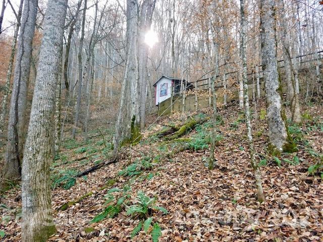 Property image 2 at 203 Vistawilla Drive, Glenville, NC 28736