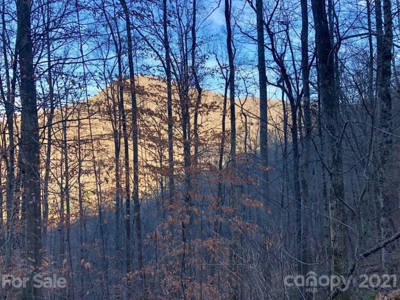 Property image 5 at 203 Vistawilla Drive, Glenville, NC 28736