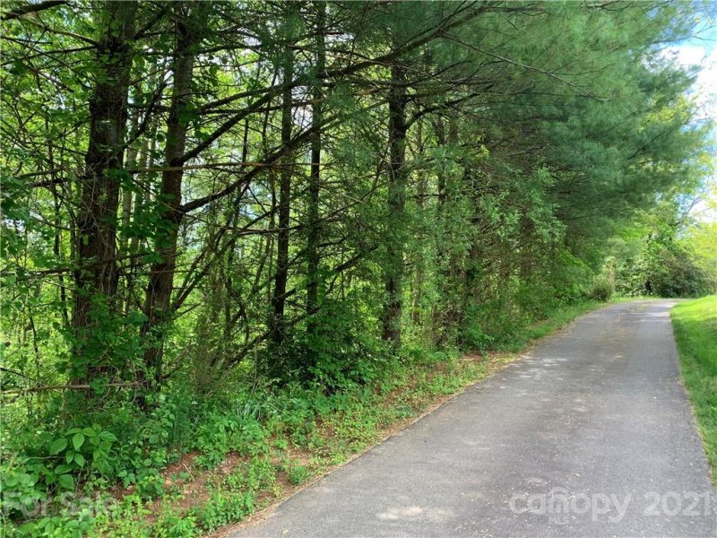 Property image 2 at 12 Willow Knoll Drive, Weaverville, NC 28787