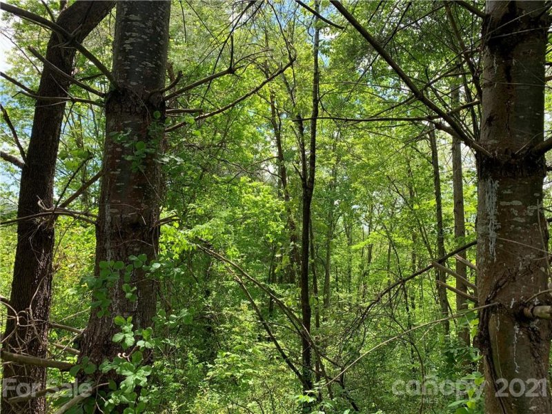 Property image 3 at 12 Willow Knoll Drive, Weaverville, NC 28787