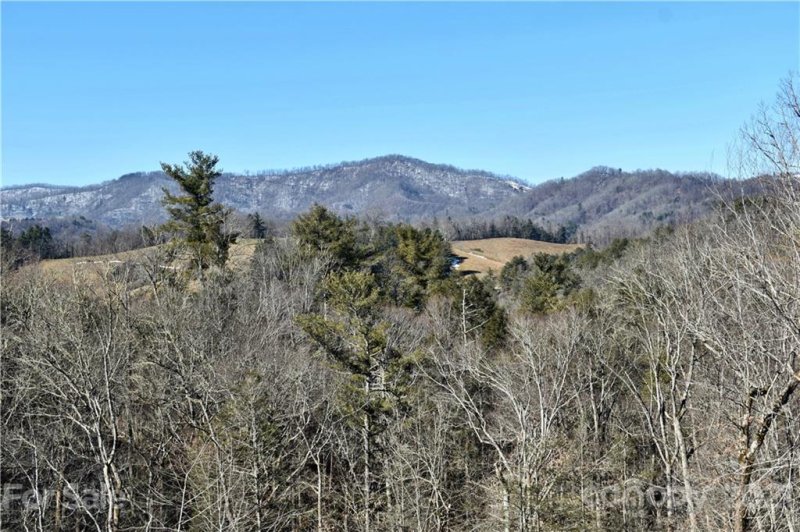 Property image 2 at 999 Mearwild Drive, Marshall, NC 28753