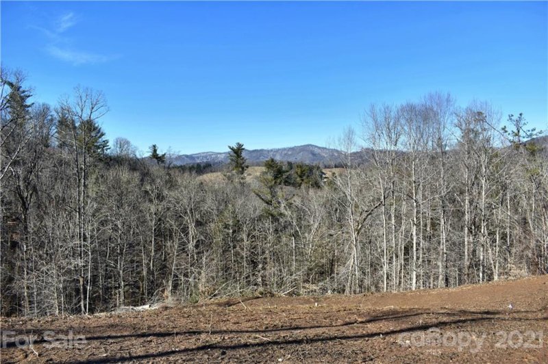 Property image 3 at 999 Mearwild Drive, Marshall, NC 28753