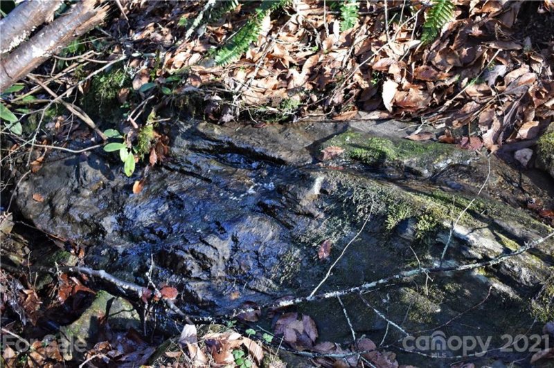 Property image 5 at 999 Mearwild Drive, Marshall, NC 28753