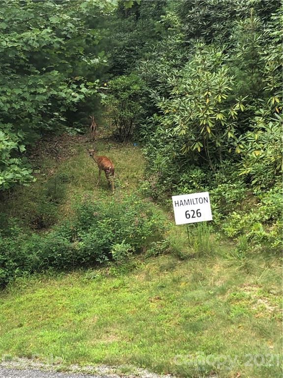 Property image 3 at Lot 626 Lost Mine Trail, Brevard, NC 28712