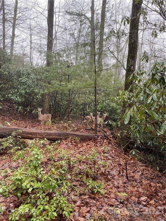 Property image 4 at Lot 626 Lost Mine Trail, Brevard, NC 28712