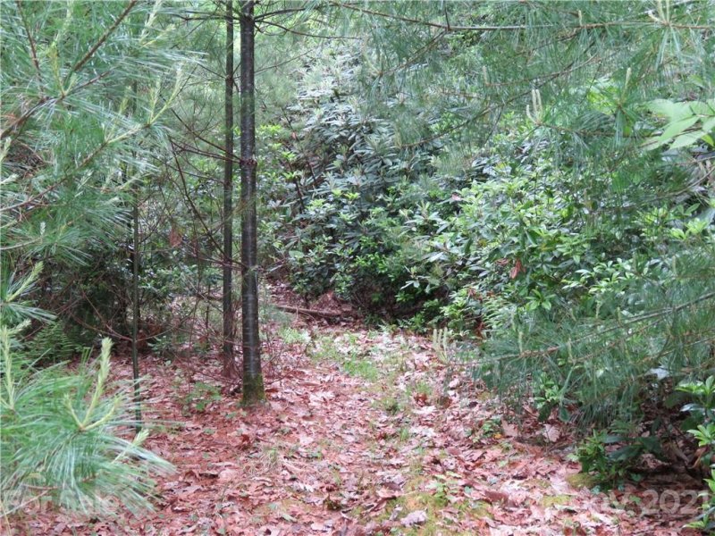 Property image 5 at Lot 626 Lost Mine Trail, Brevard, NC 28712
