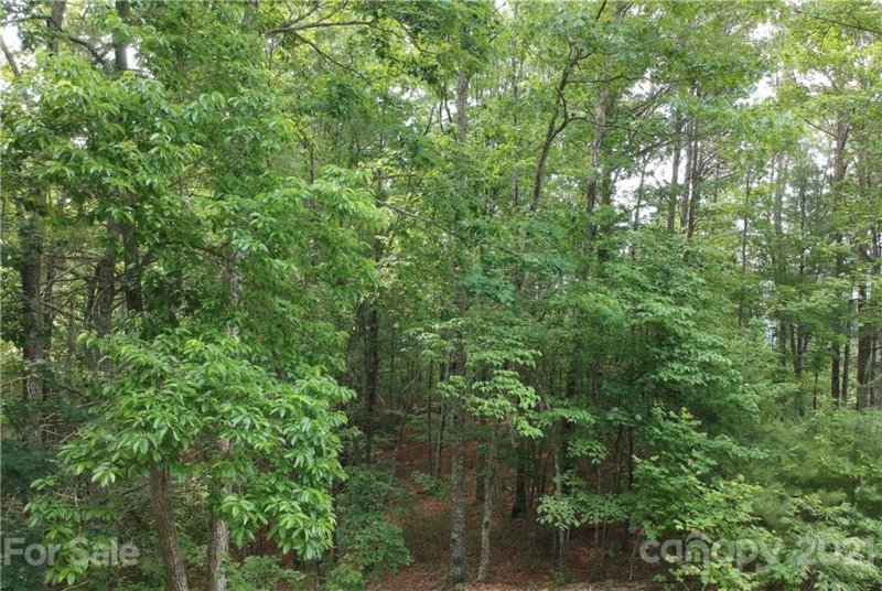 Property image 2 at 647 White Water Way, Marshall, NC 28753