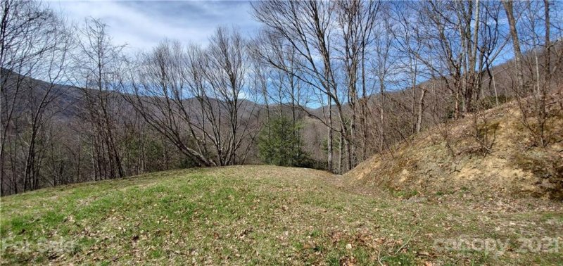 Property image 3 at 0000 White Oak Trail, Clyde, NC 28721