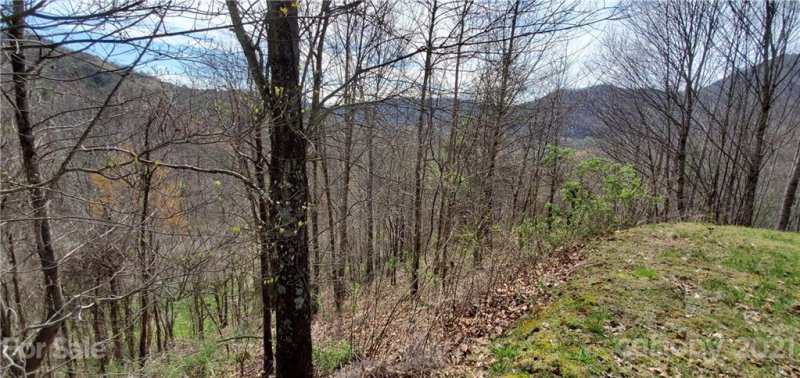 Property image 5 at 0000 White Oak Trail, Clyde, NC 28721