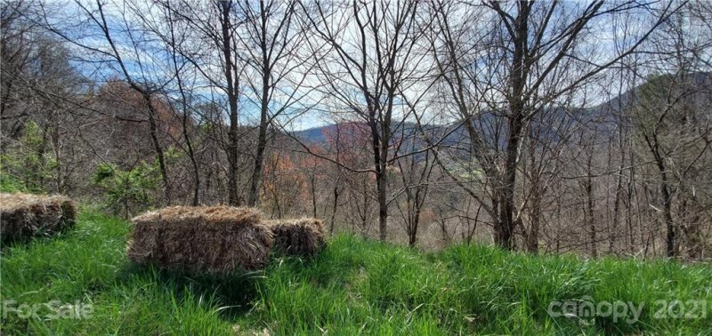 Property image 3 at 0000 White Oak Trail, Clyde, NC 28721