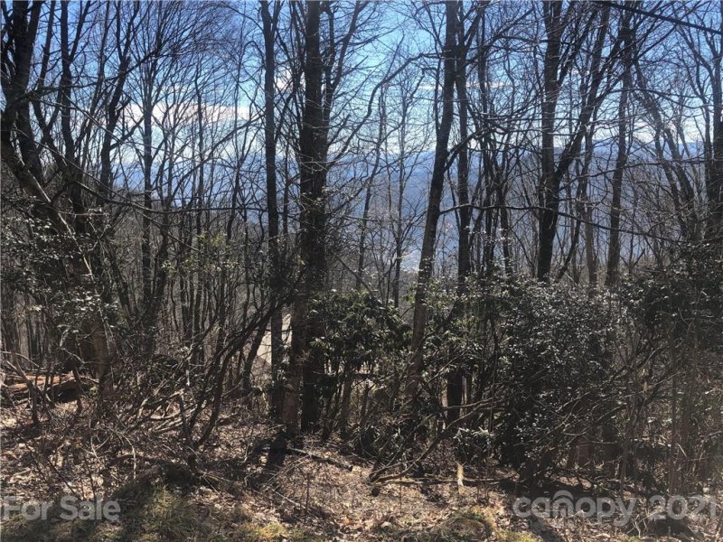 Property image 4 at Lot B4 Laurel Ridge Road, Maggie Valley, NC 28751