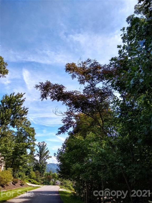 Property image 2 at 44 Timber Moss Drive, Asheville, NC 28804