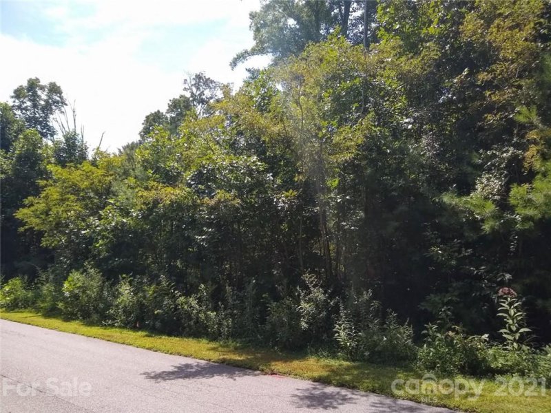 Property image 4 at 44 Timber Moss Drive, Asheville, NC 28804