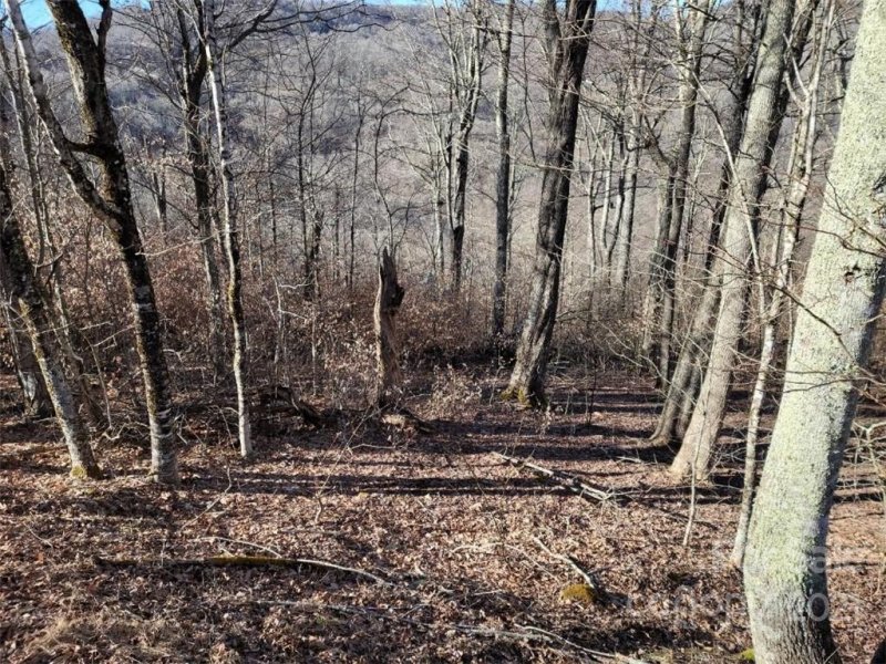 Property image 4 at 18 Zebulon Lane, Mars Hill, NC 28754