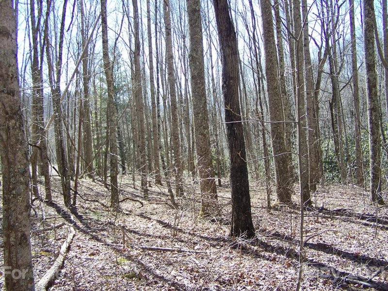 Lot 19 Quail Cove Road