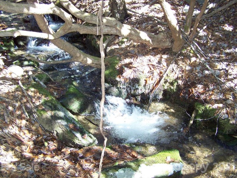 Property image 3 at Lot 19 Quail Cove Road, Clyde, NC 28721