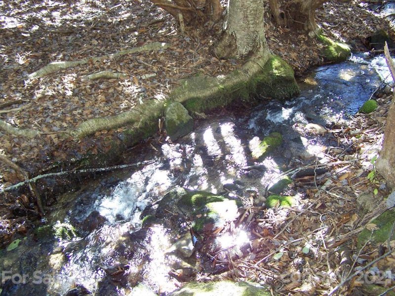 Property image 5 at Lot 19 Quail Cove Road, Clyde, NC 28721