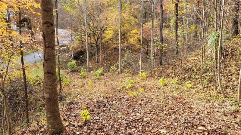 Property image 2 at 22 A Campbell Mountain Drive, Waynesville, NC 28786